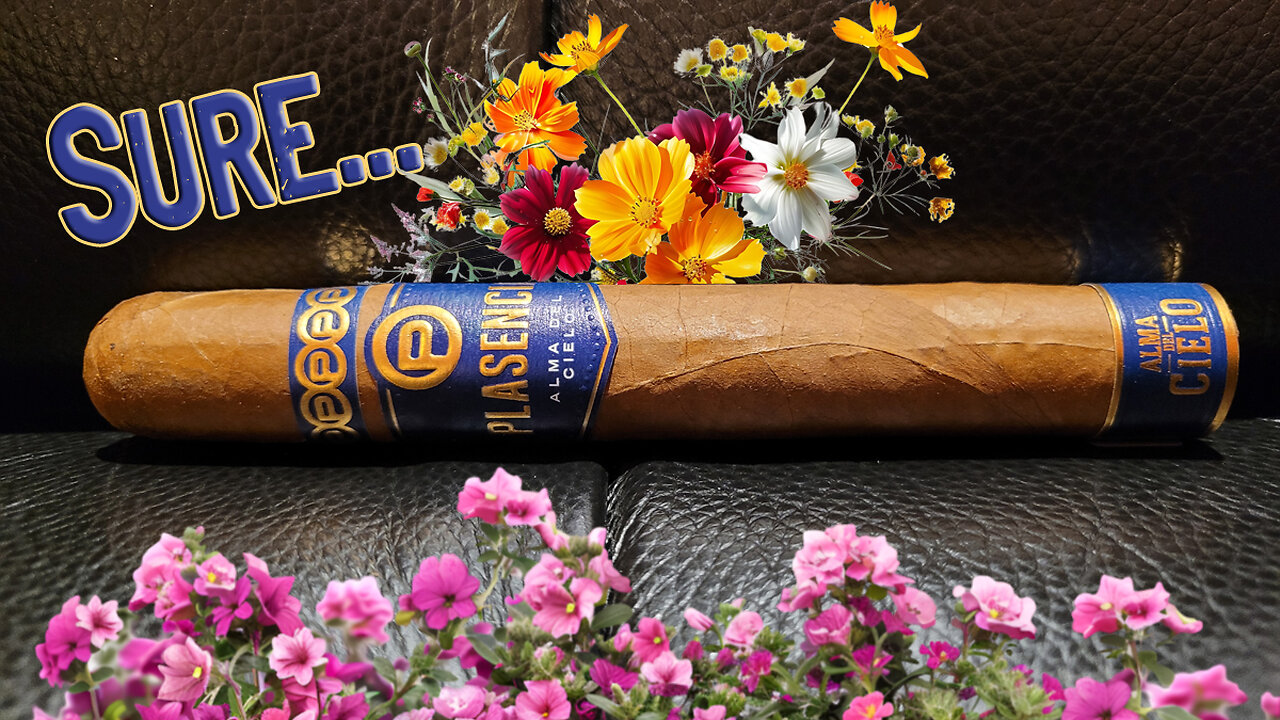 60 SECOND CIGAR REVIEW - Plasencia Alma del Cielo