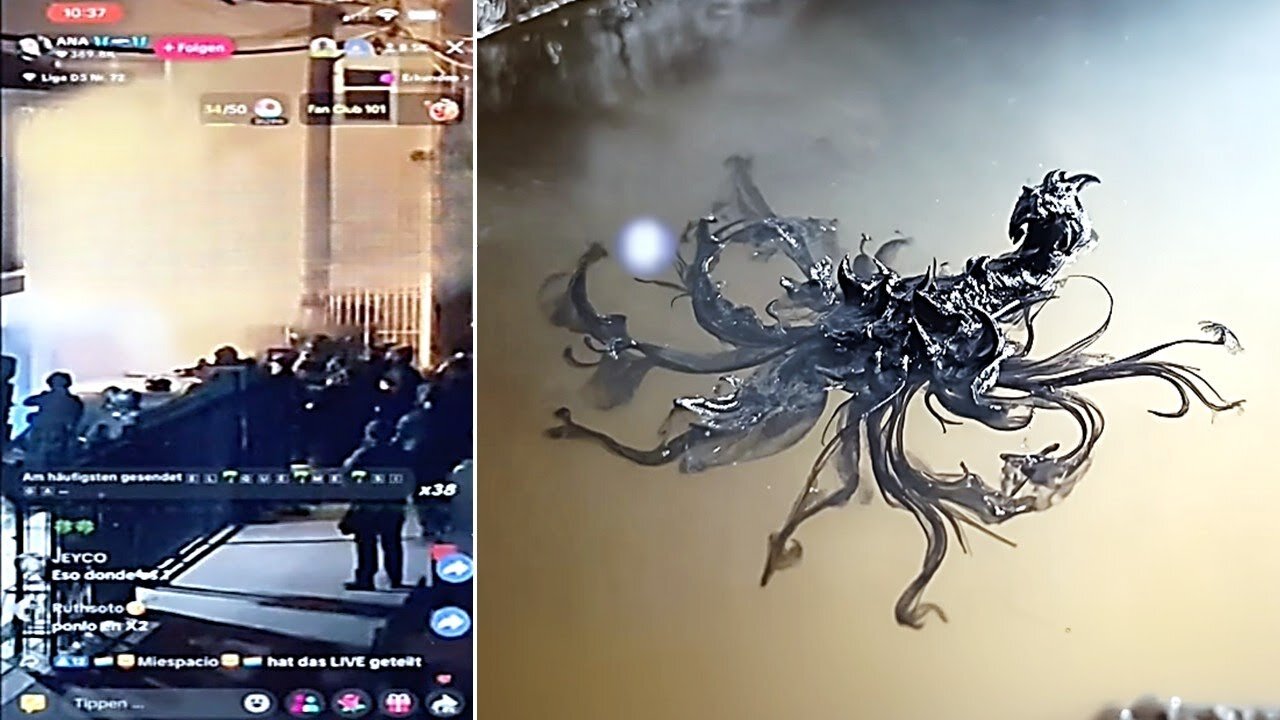 Man Gives Chilling Update On The Alien Entity In Panama They Just Swatted Him