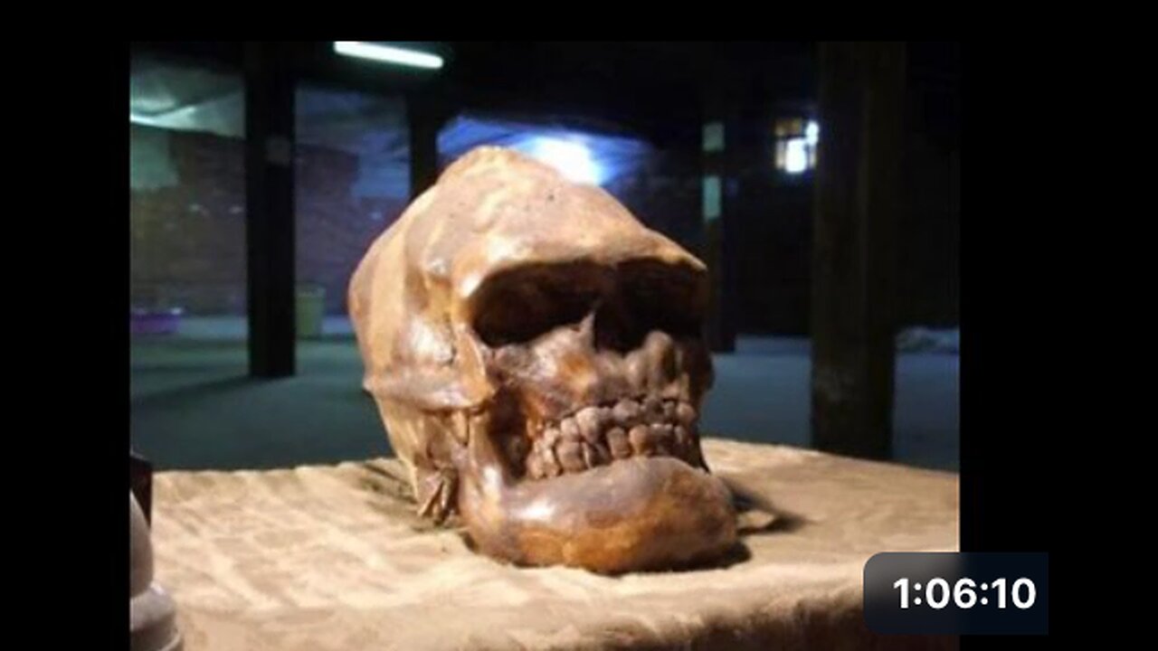 THE NEPHILIM - The origin of genetic evil