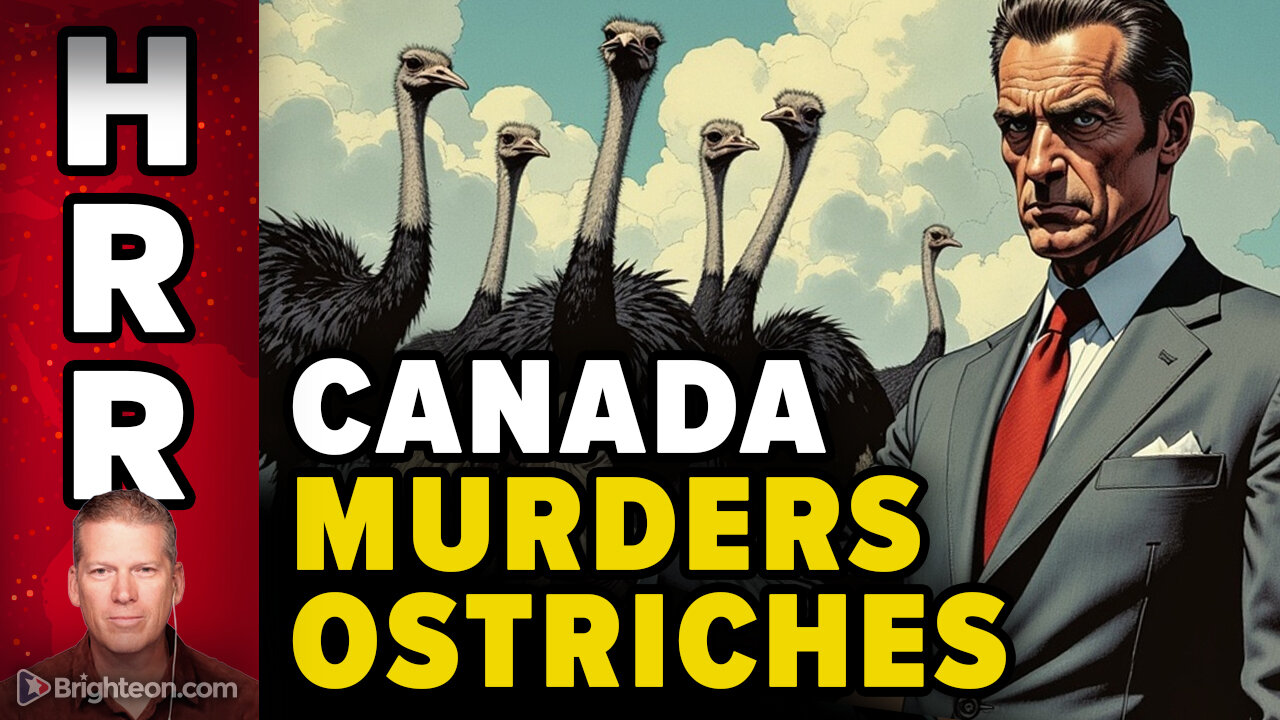 Canada MURDERS the OSTRICHES... and youre next