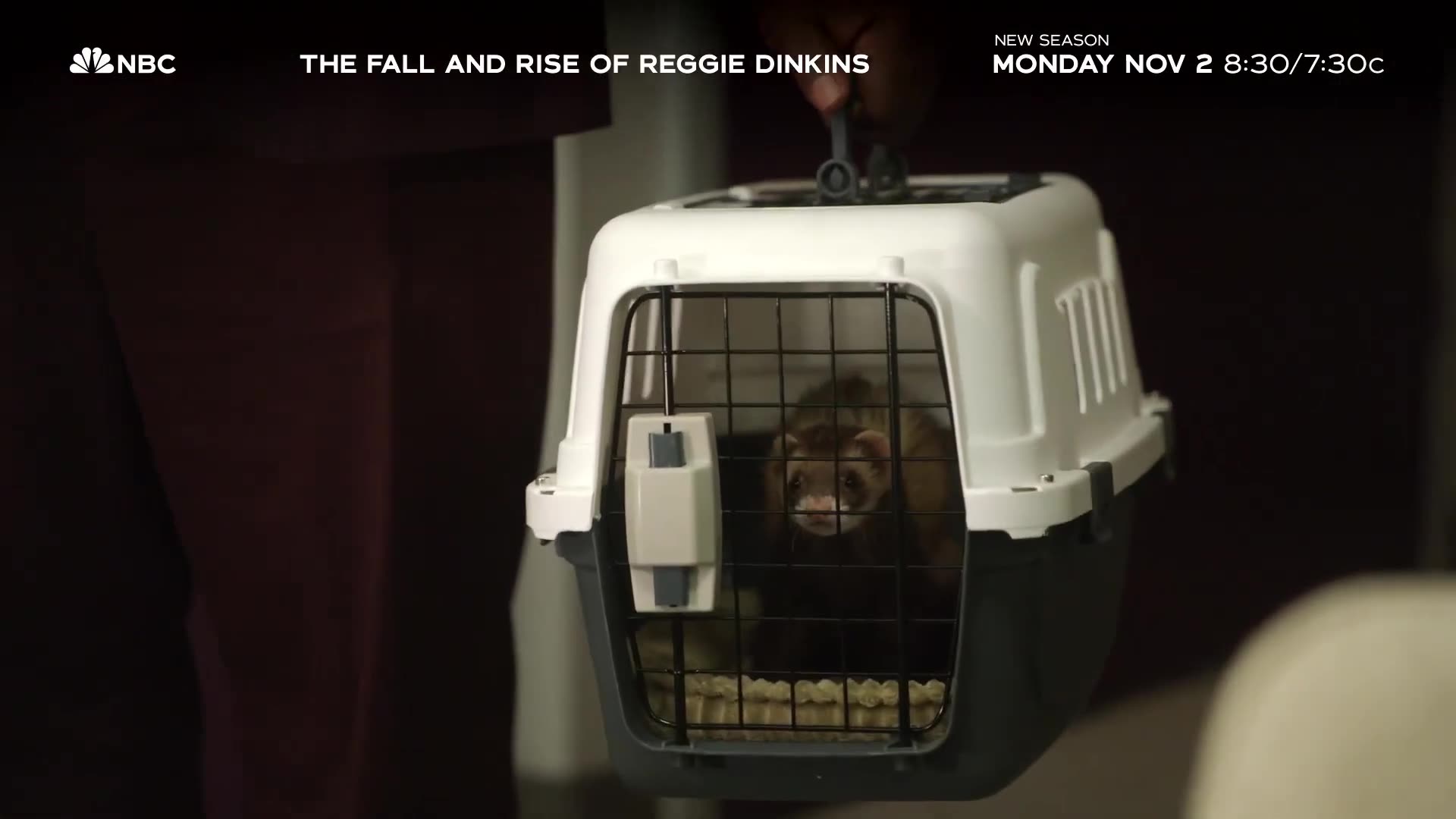 The Fall and Rise of Reggie Dinkins Season 2 | Official Trailer | NBC