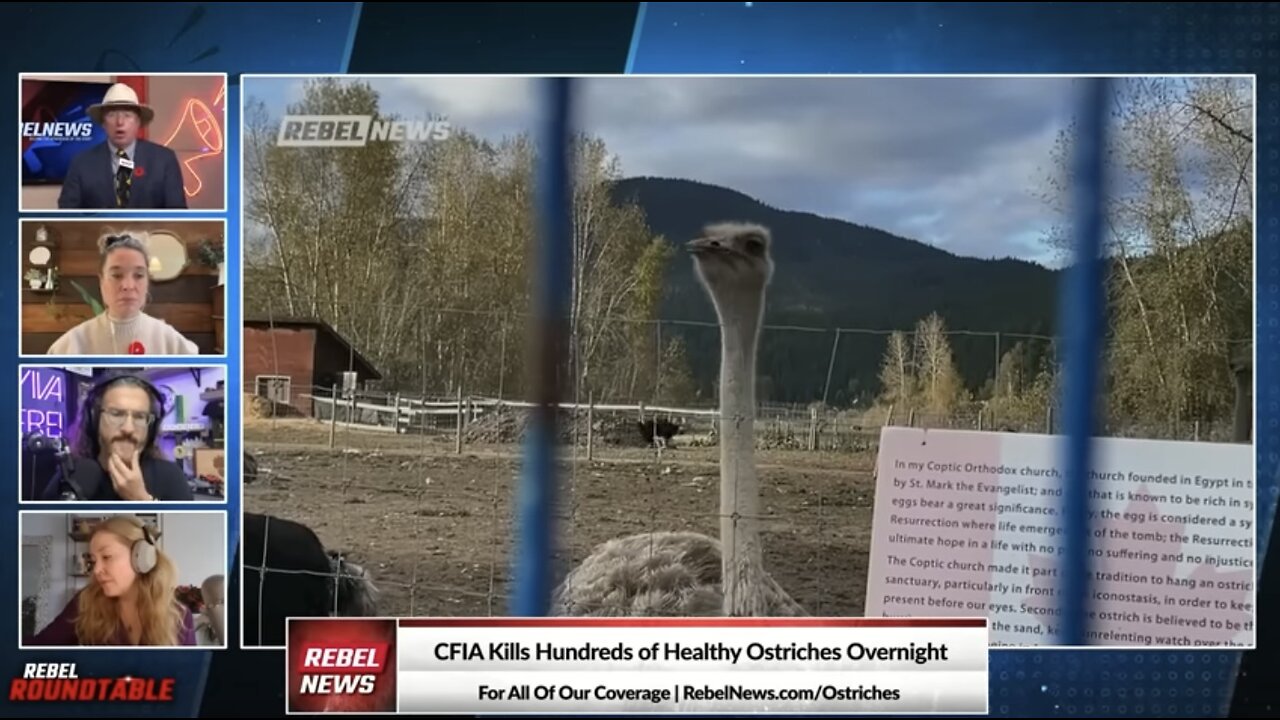 COWARDS!: Ezra Levant confronts RCMP after ostrich cull