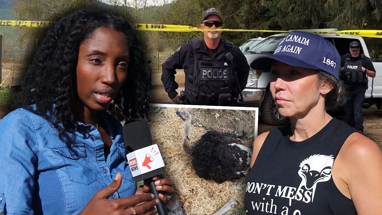 BUSTED: Footage appears to catch CFIA officials faking care for dying ostrich Spirit