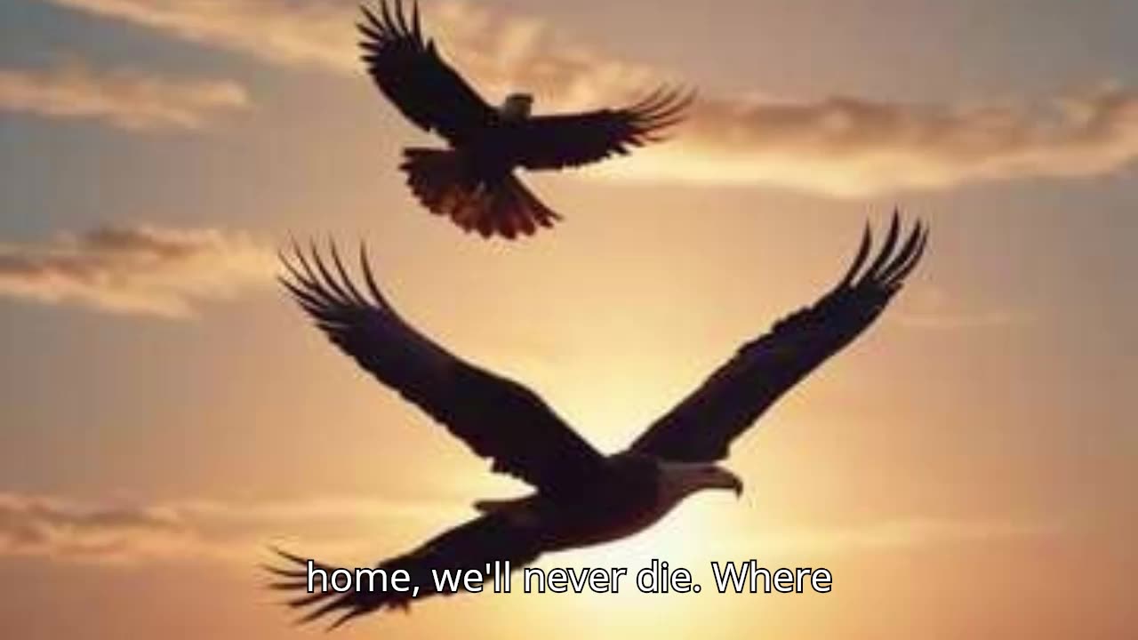 Born to Be Free V2