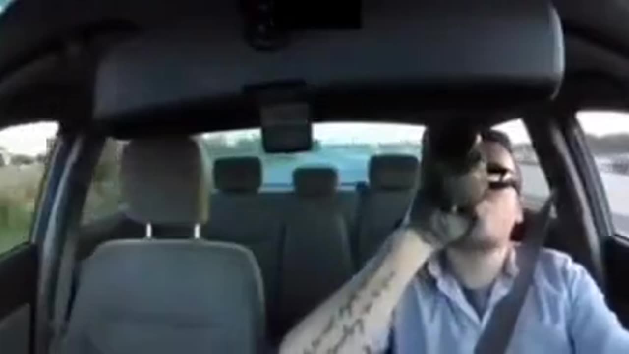 Dumb idiot
