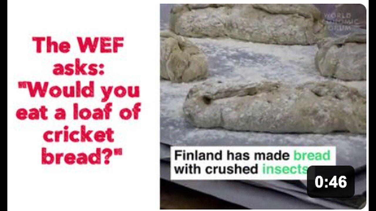 The WEF asks: Would you eat a loaf of cricket bread?