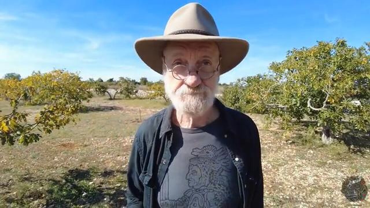 MAX IGAN - Social Breakdown