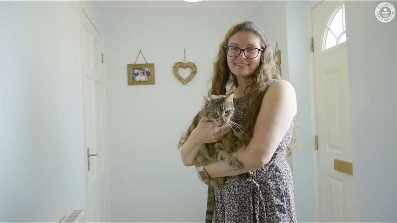 Love All Life Always #311 - Just For Fun, Here Is The Loudest Cat Purr On Record (Living). Purrrrr!