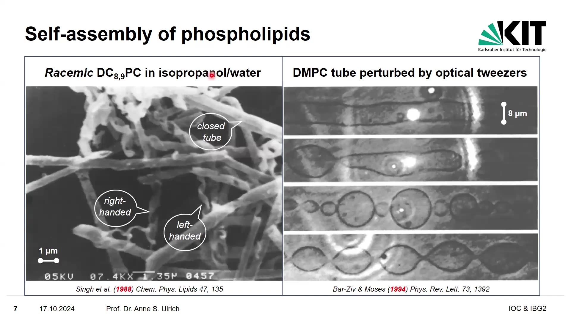Self-Assembly of Amphiphiles