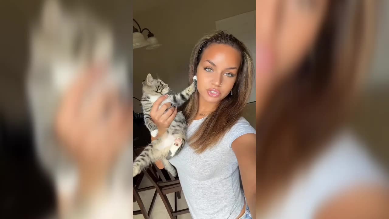 ๐ป Cute Lil Kitty ๐