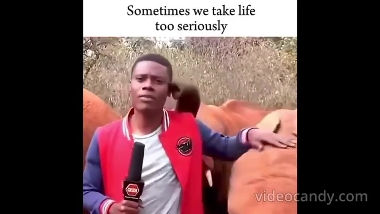 Sometimes we take life too seriously