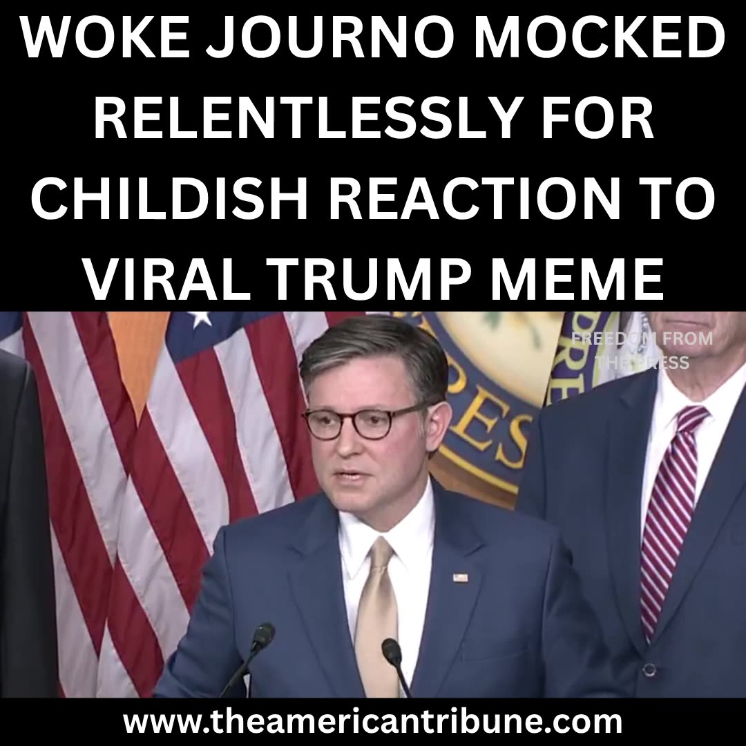 WATCH: Mike Johnson Hilariously Skewers Reporter Who Got Triggered by Trump’s Funny Meme