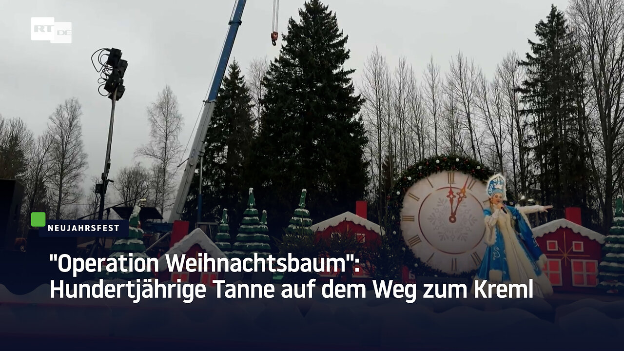 Operation Weihnachtsbaum: Hundertjährige Tanne auf dem Weg zum Kreml