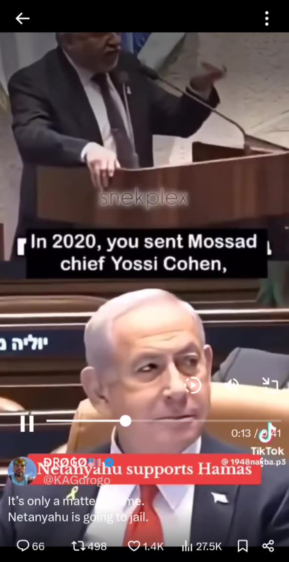 Bibi is getting a roasting (Read Description)