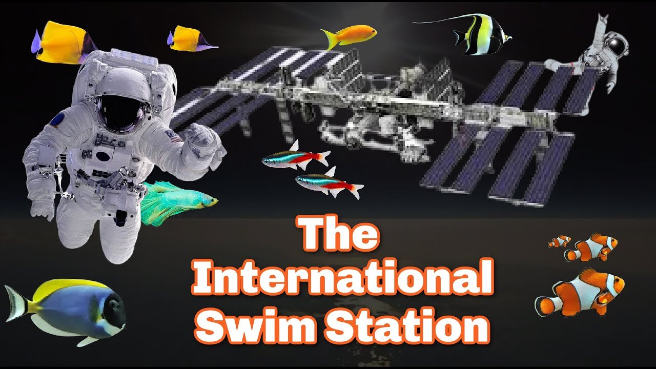 Swimming on the IFS