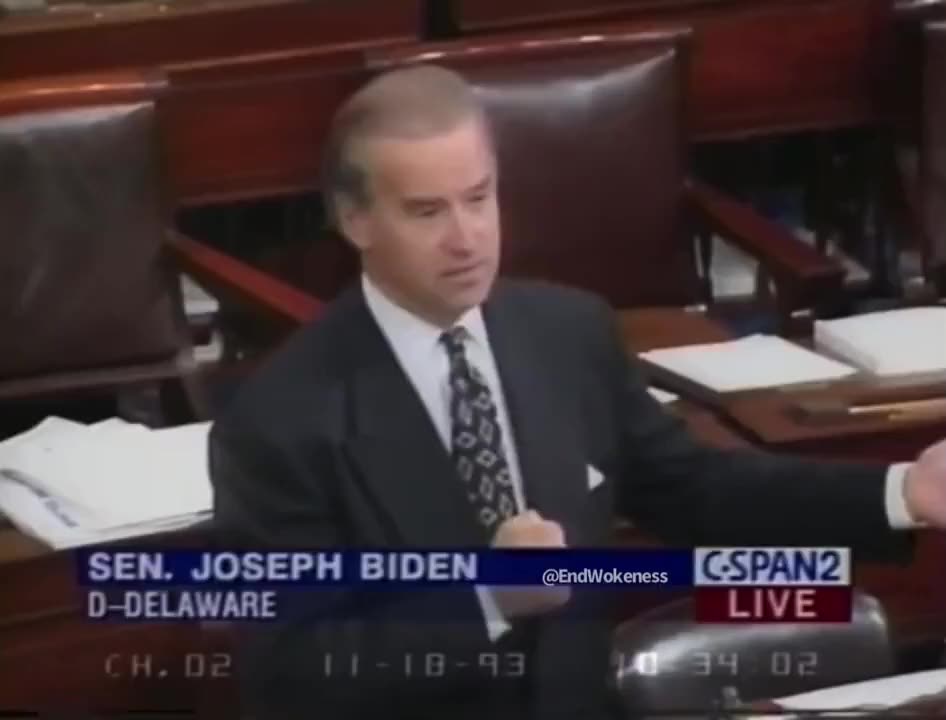 Biden on urban crime (1993)