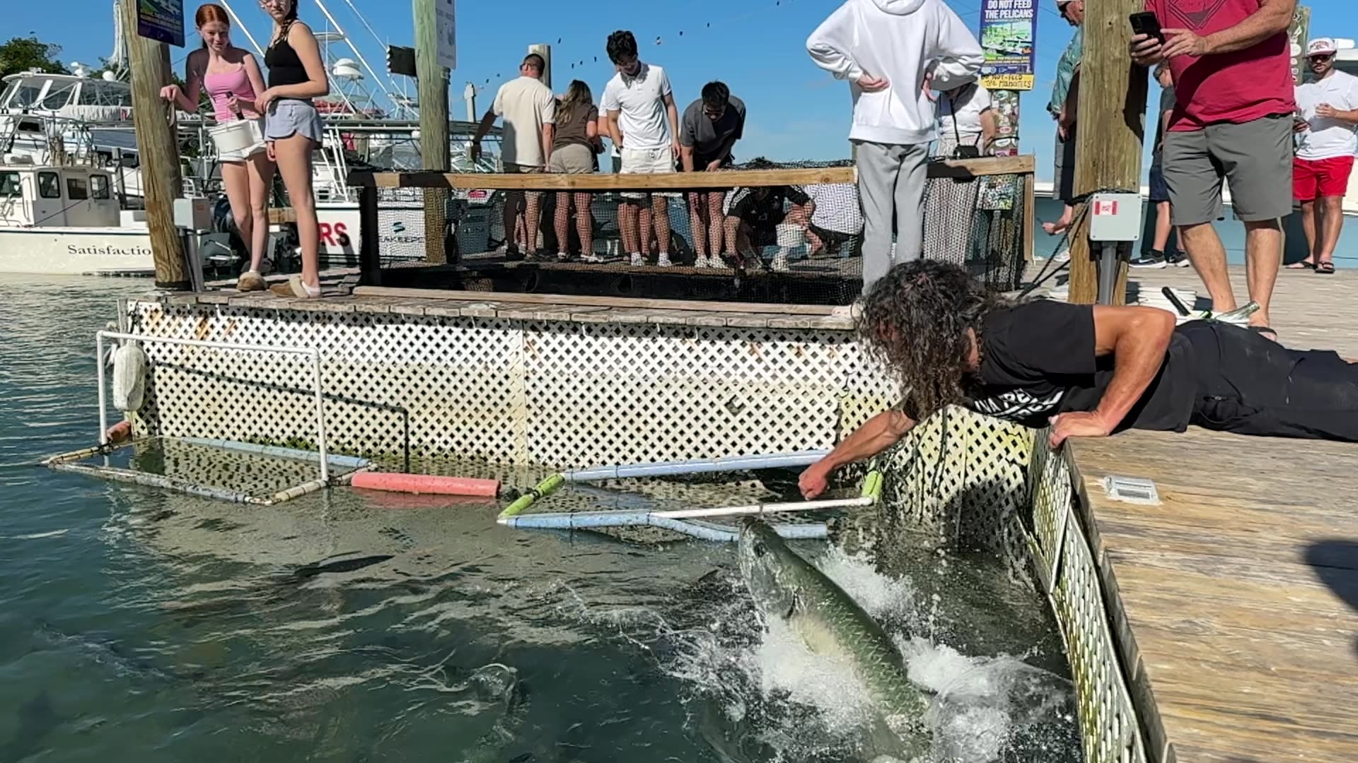 Giant Tarpon INHALES My Arm at Robbies Marina! THIS PLACE IS AWESOME!