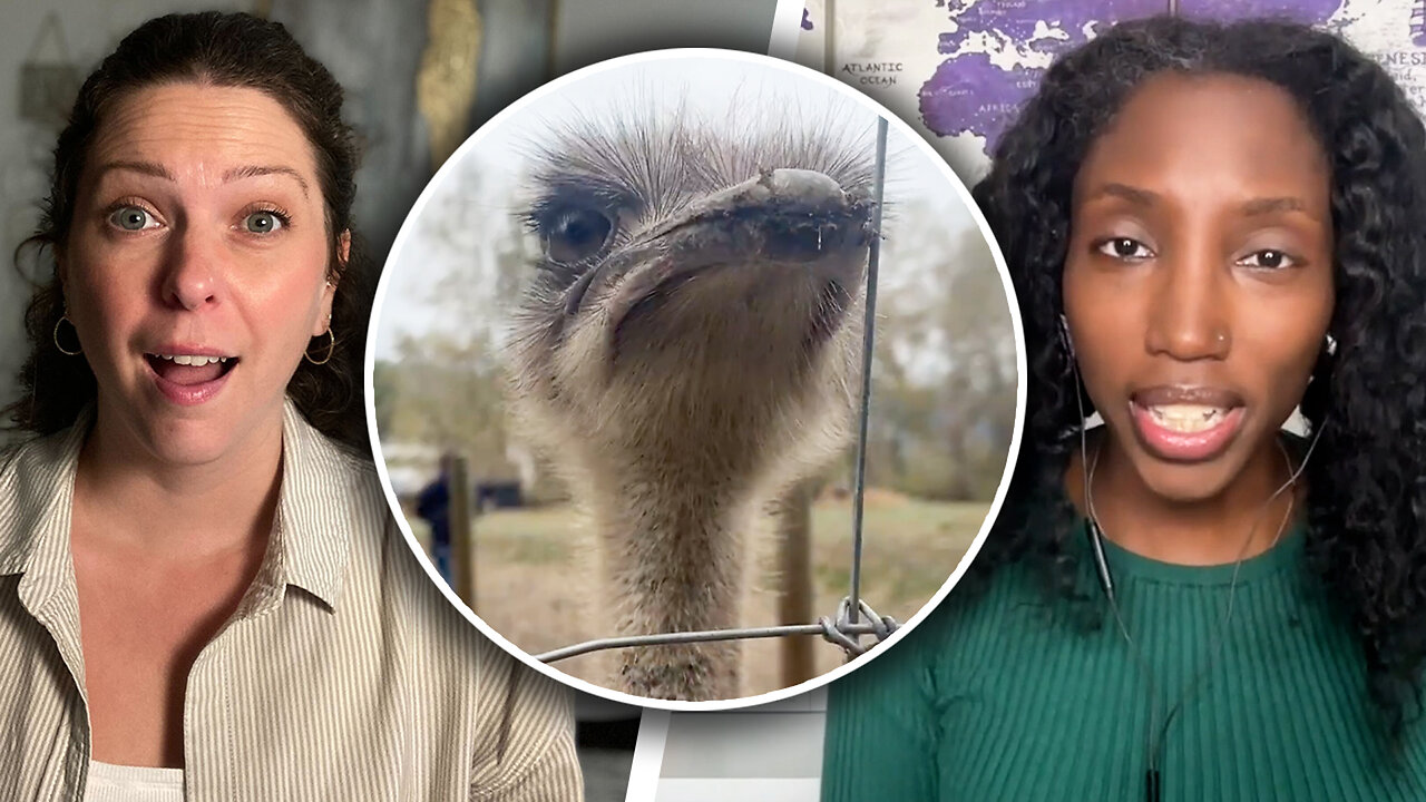 Ostriches alive and well, but for how long?