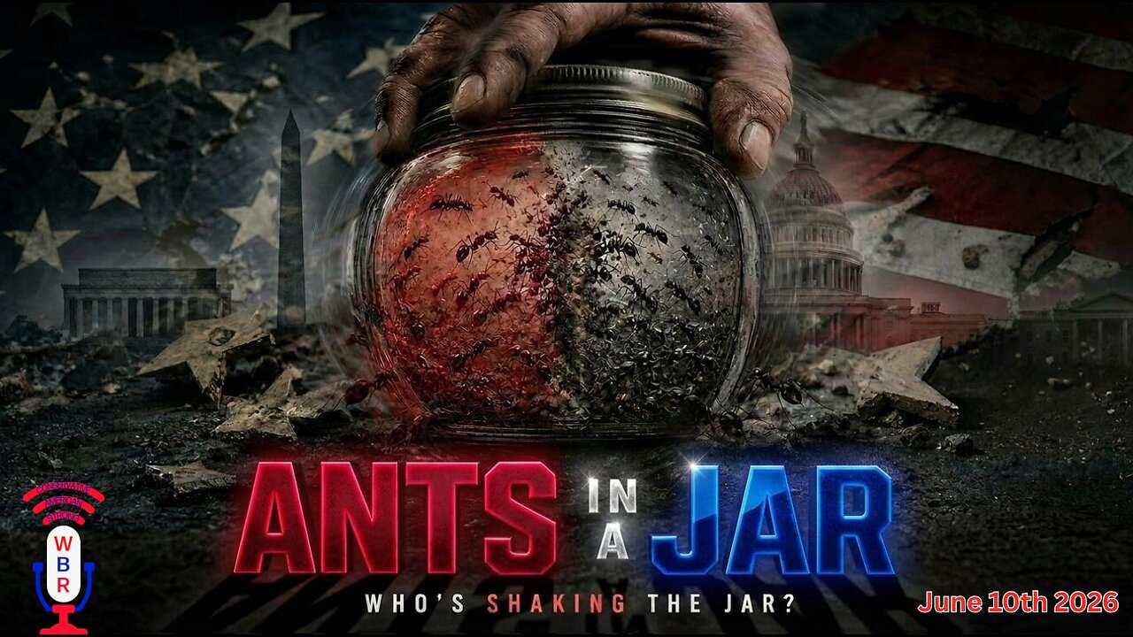 Ants In A Jar