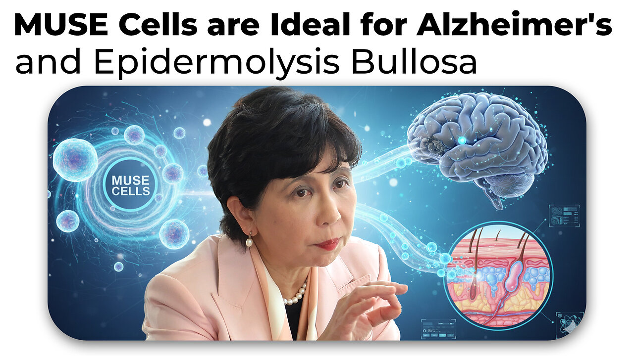 MUSE Cells are Ideal for Alzheimers and EB Because they Differentiate into Needed Cells