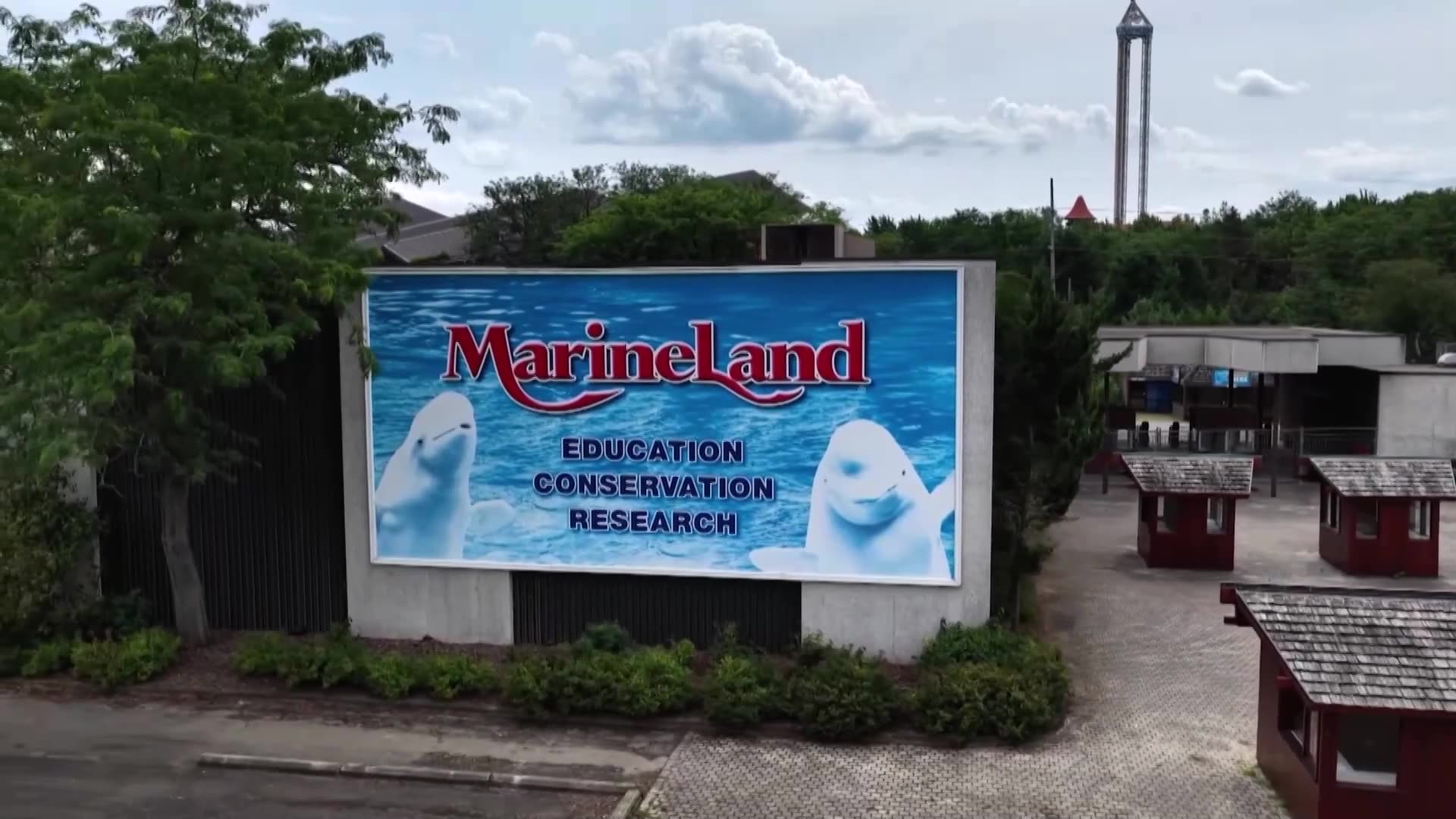 Canada theme park: if we dont get aid, we may have to kill our whales