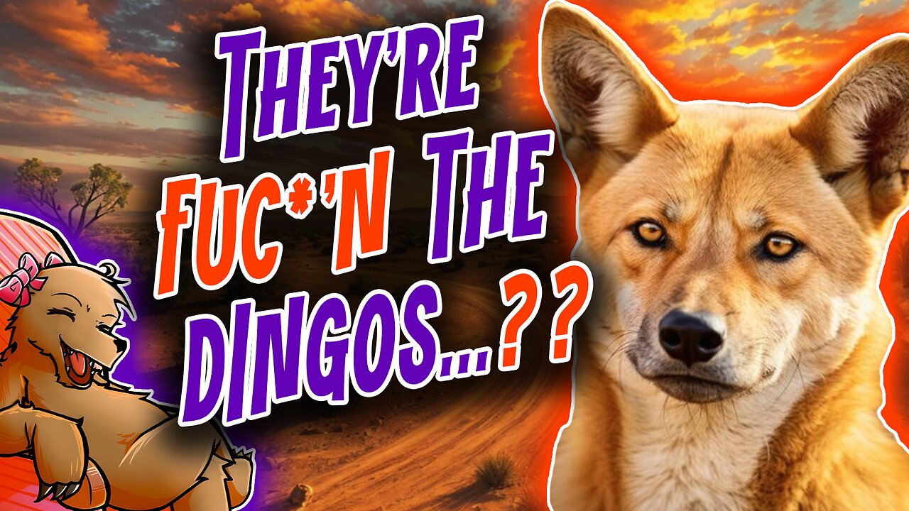 THEYRE FUC*N THE DINGOS???...