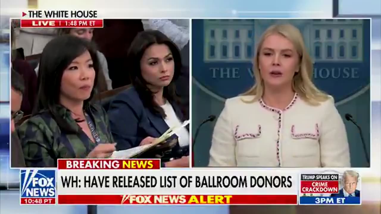 Karoline Leavitt SCHOOLS reporter with BASIC FACTS about Trumps authority
