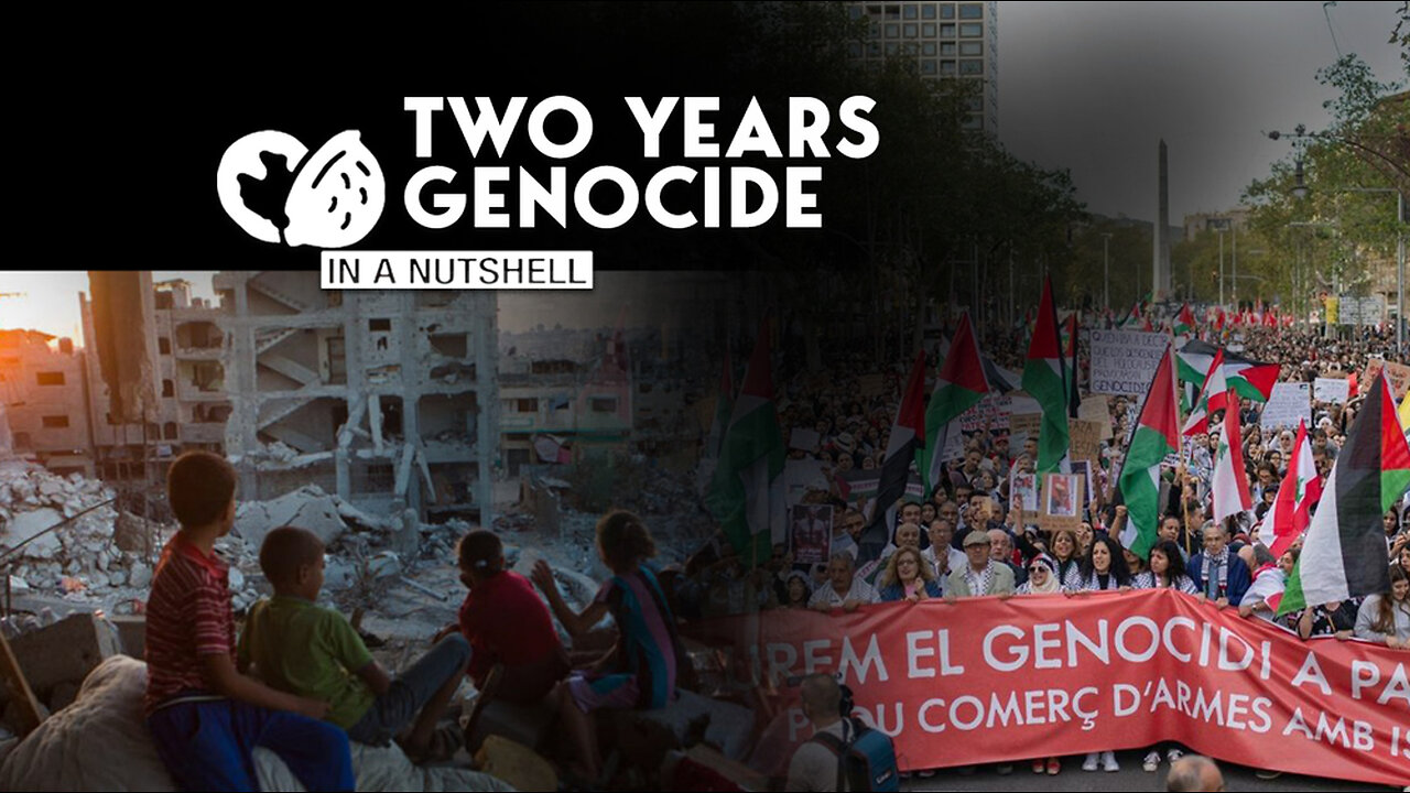 In a nutshell: Two years of genocide in Gaza