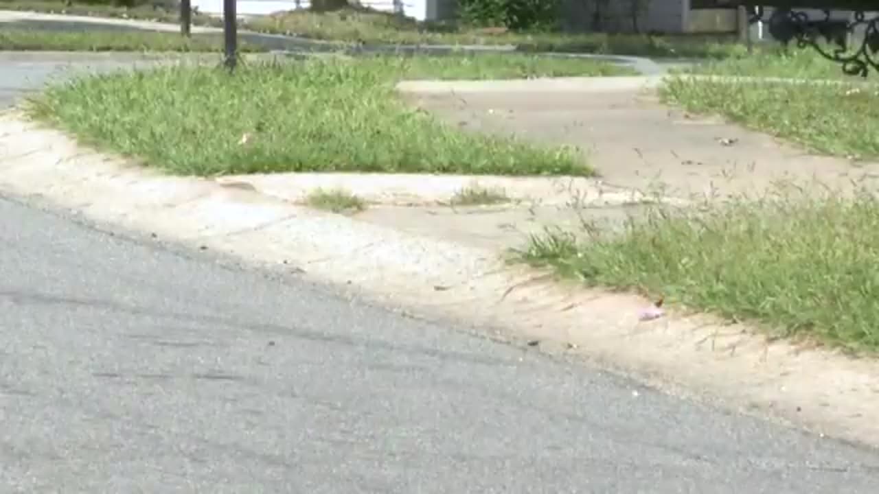 Male Charlotte school bus driver known as Ms. Sharon accused of multiple child sex crimes