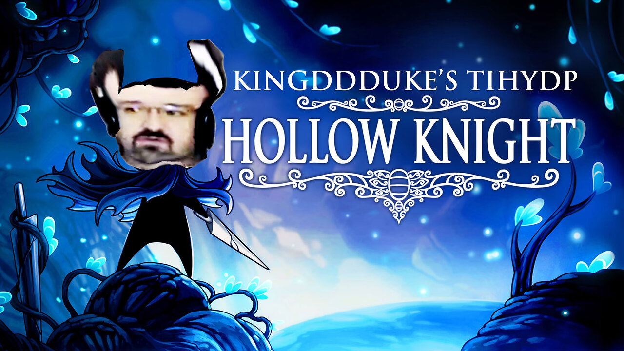 This is How You DONT Play Hollow Knight - KingDDDuke TiHYDP # 371