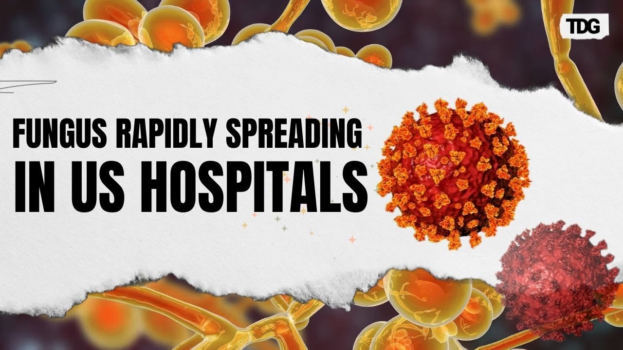 CDC Labels Fungus Urgent Threat as It Spreads Rapidly Across US Hospitals