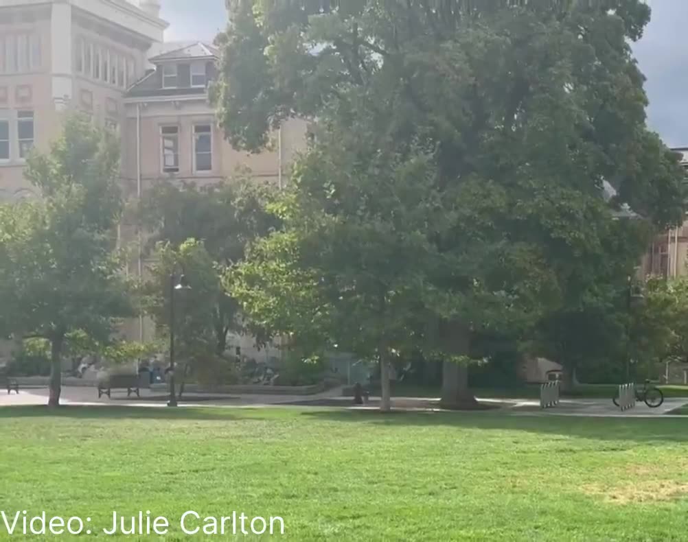 Per KSL-TV reporter Erin Cox at Utah State University: Police just yelled “fire in the hole”
