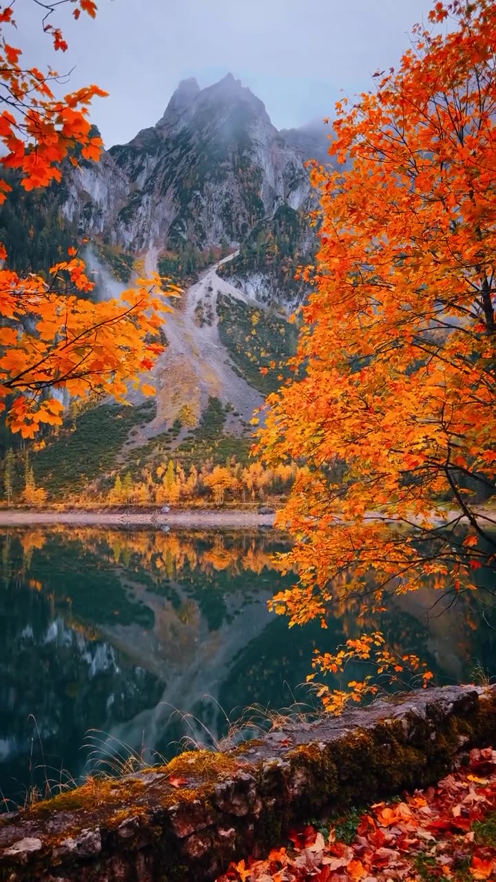 Beauty of Nature