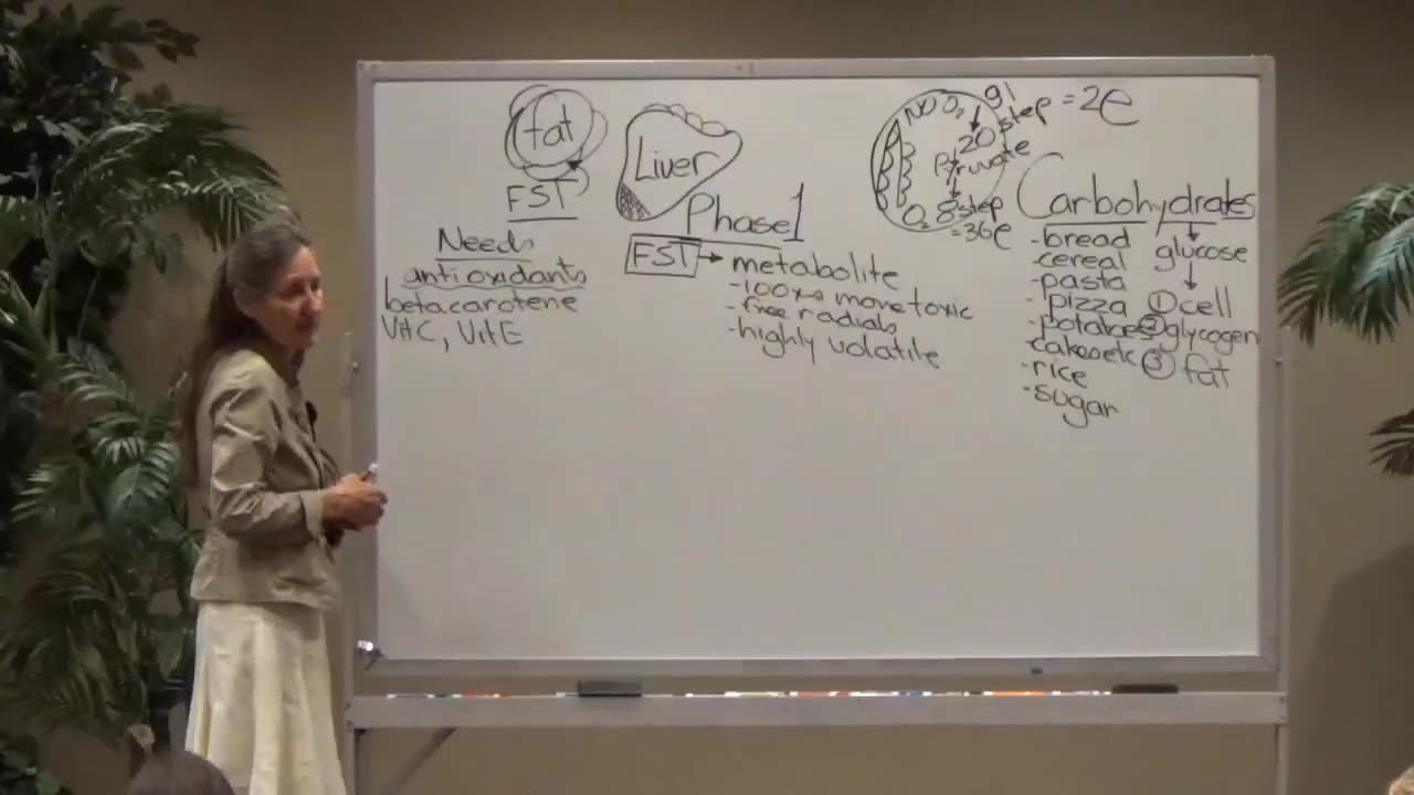 Barbara O’Neille- Detoxification and The Liver Part 3