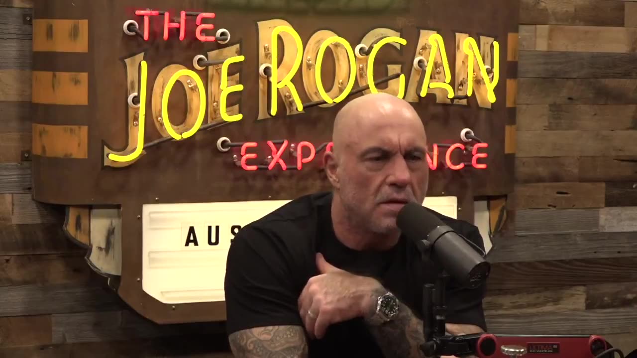 Elon Musk shares his theory about the shutdown with Joe Rogan