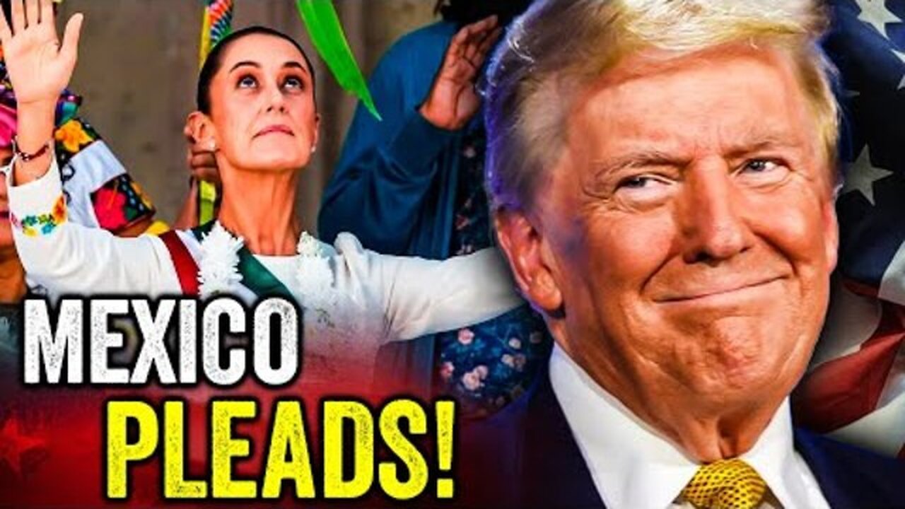 Mexico Is BEGGING Trump to Save Them from Cartel HELL!!!