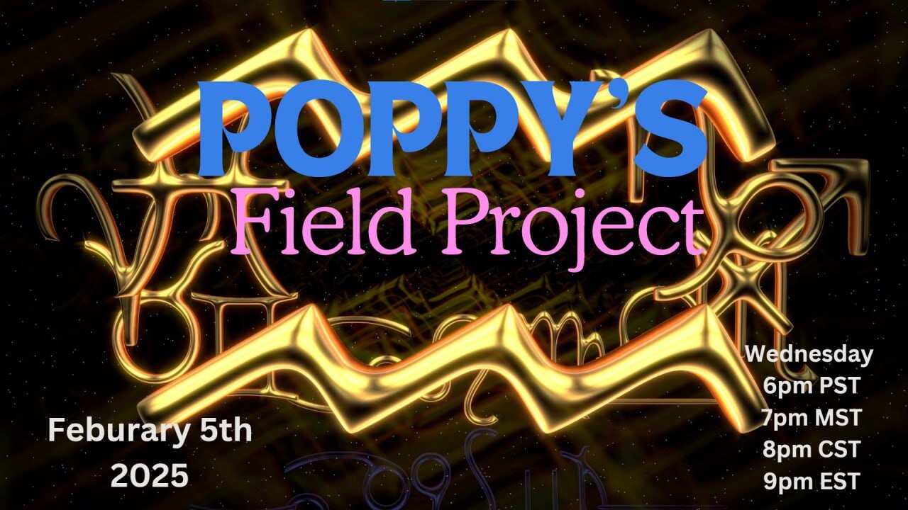 02/05/2025 Poppys Field Project