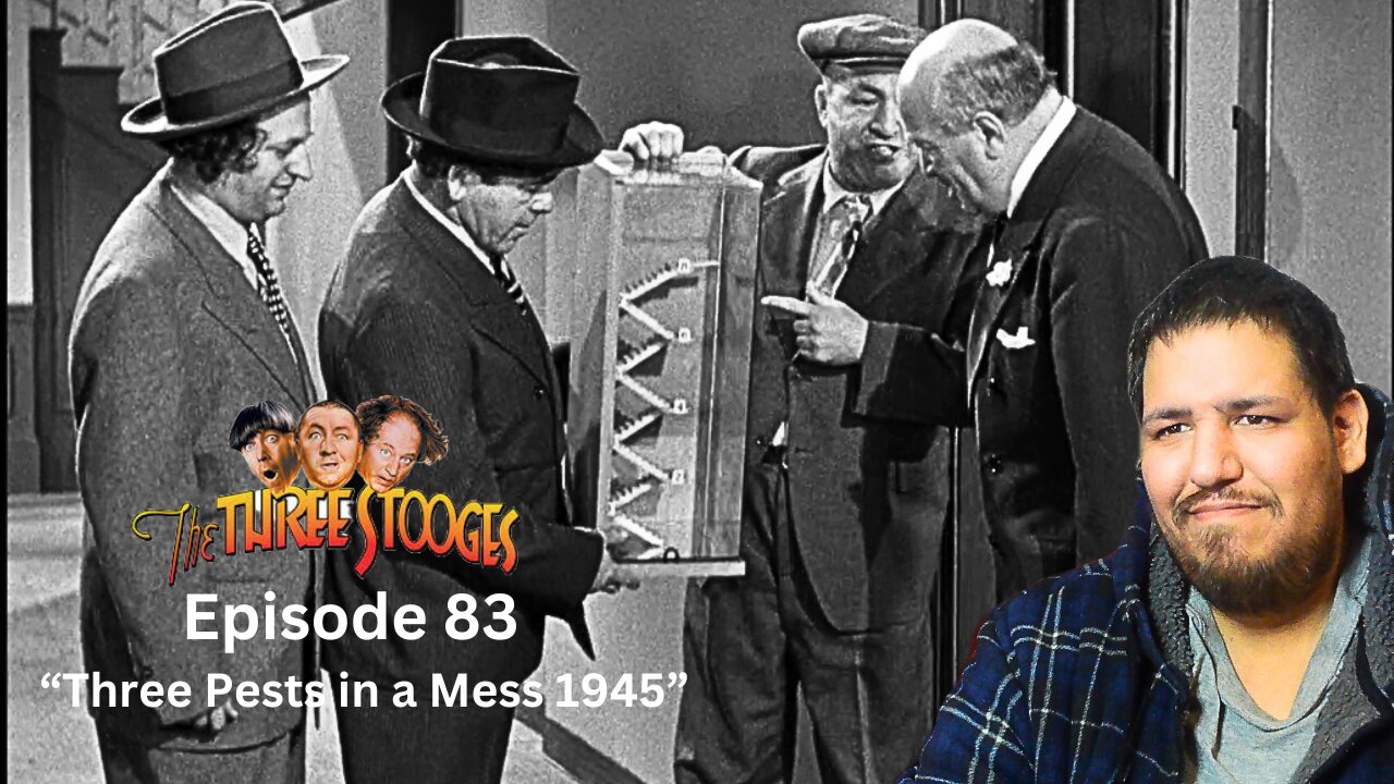 The Three Stooges | Episode 83 | Three Pests in a Mess 1945 | Reaction