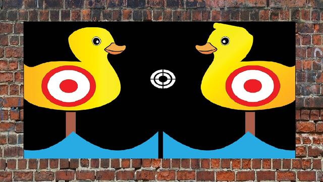 Sitting Ducks !!