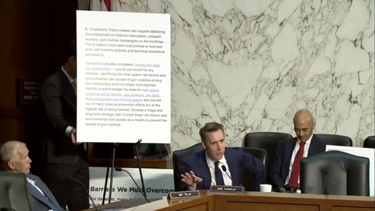 Sen Josh Hawley Goes Off On Former Biden Gun Violence Expert