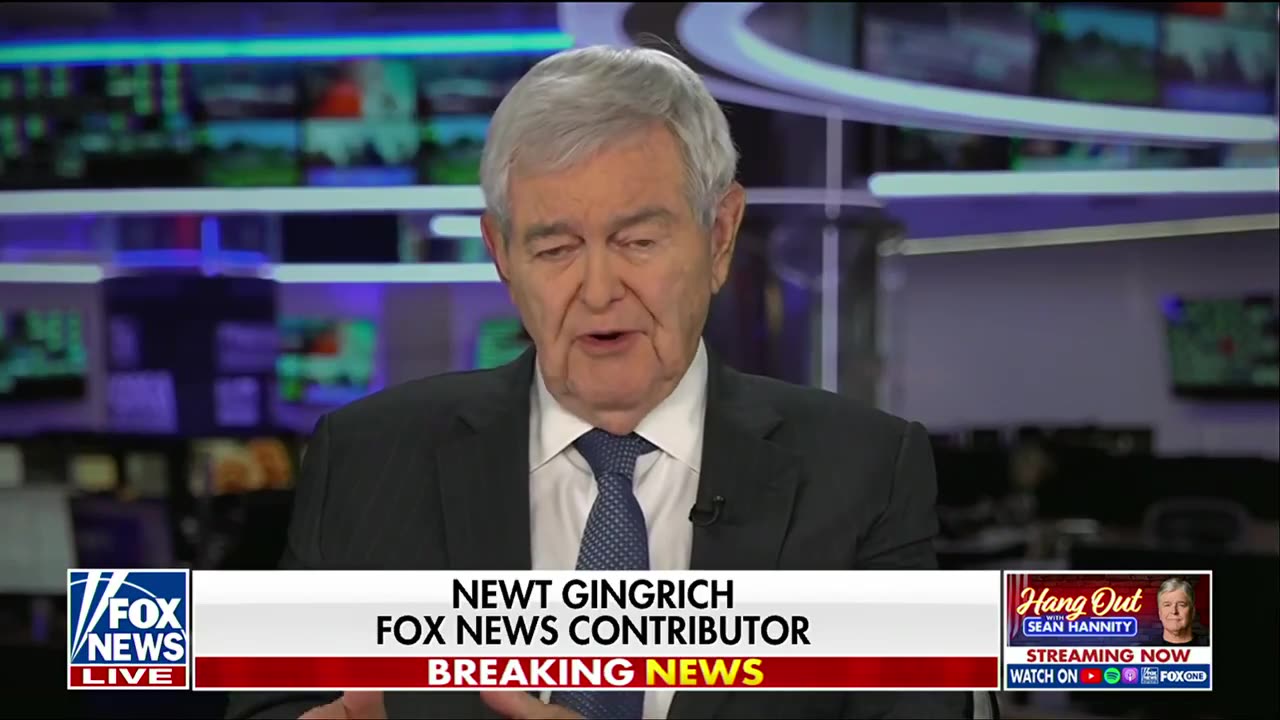 Newt Gingrich: The DSA’s platform wants to ‘replace America’ thumbnail