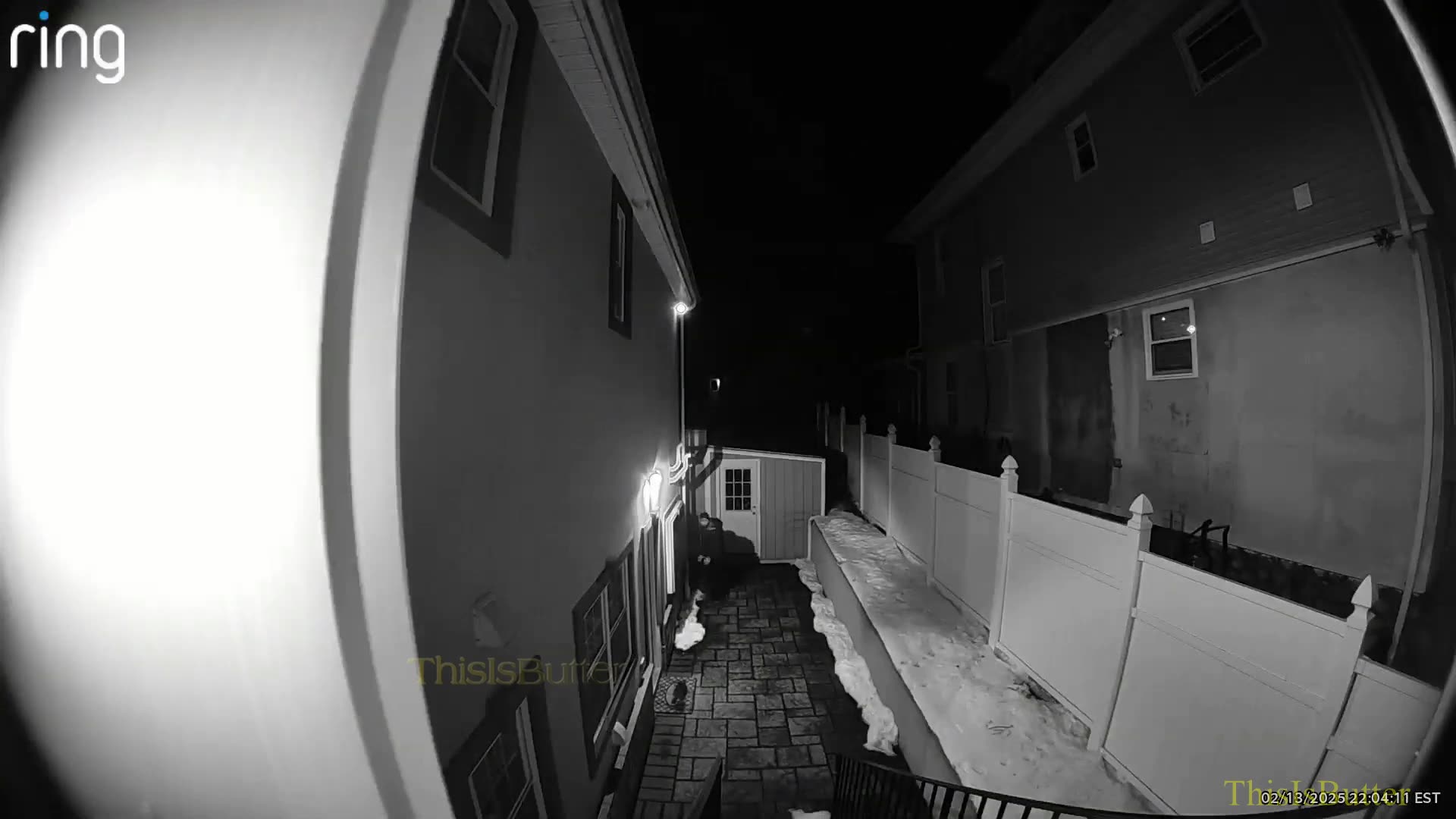 Waterbury detective justified in returning fire after being shot by carjacking suspect