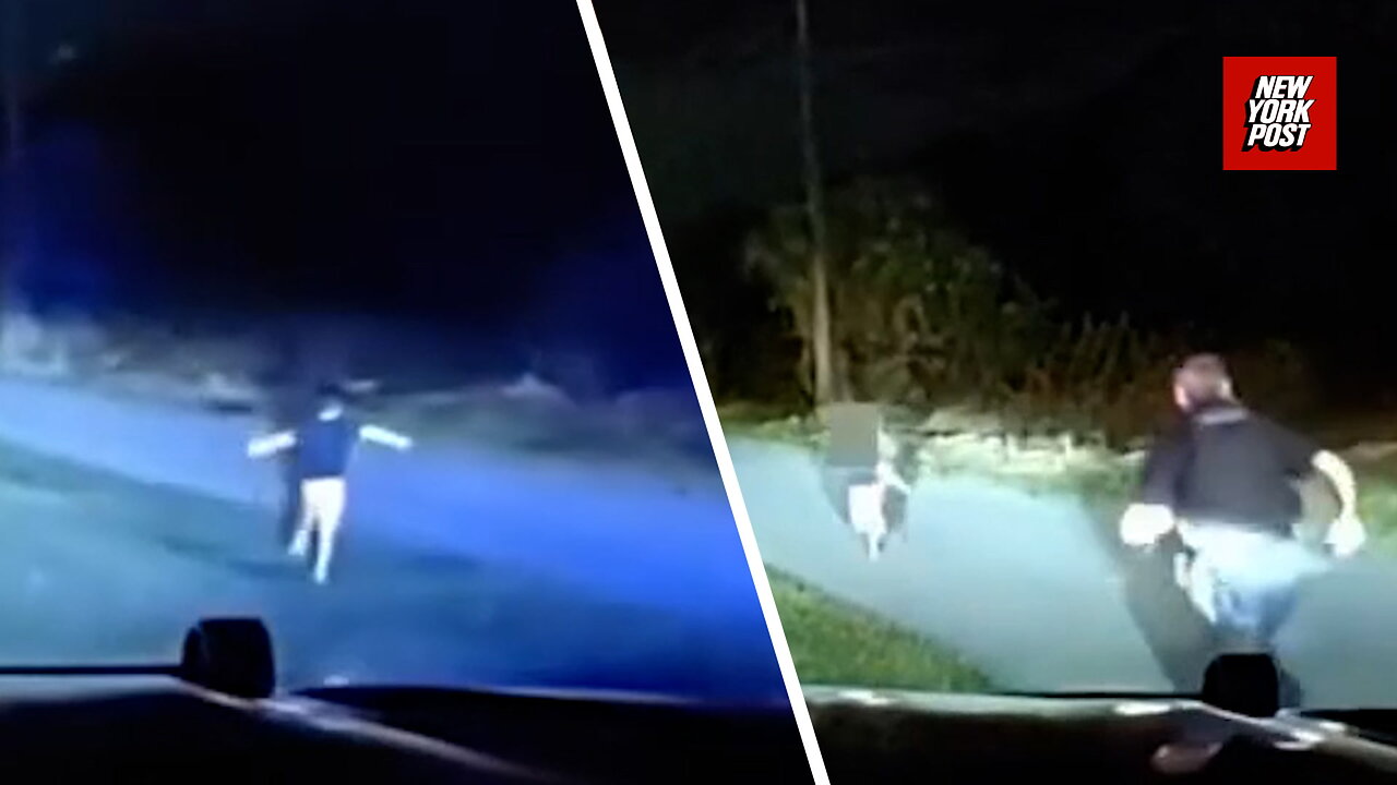 Hero cops quick thinking saves child running down busy Florida highway