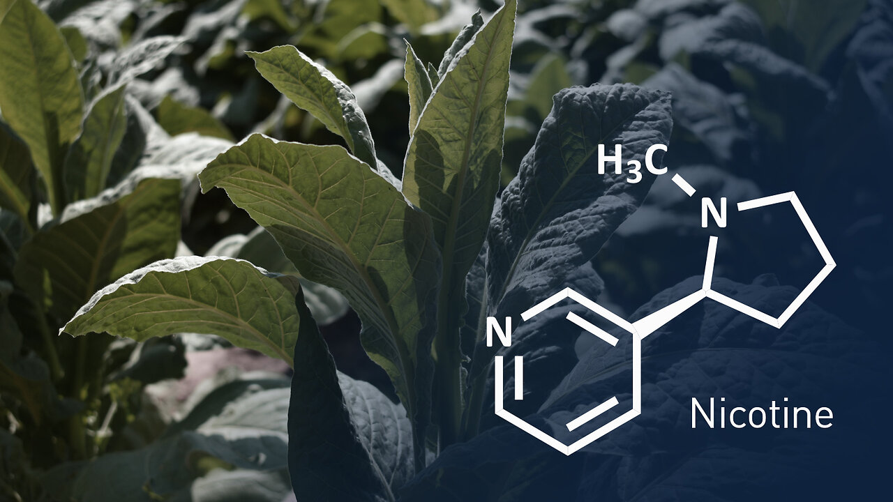 🎙️ Dr. Bryan Ardis: The Truth About Nicotine, Censorship, and the War on Natural Healing (Full)