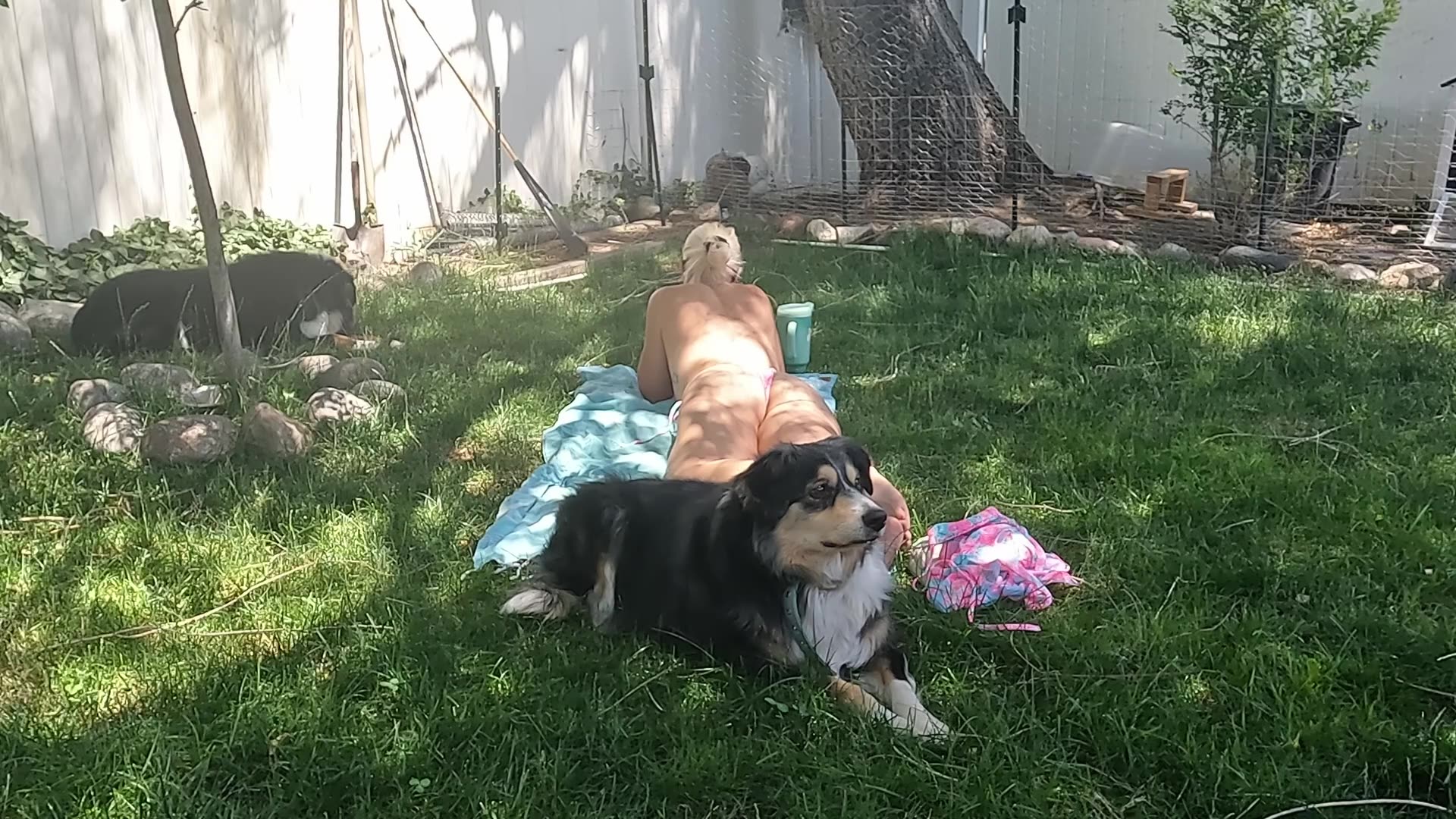 Another Sunny Day