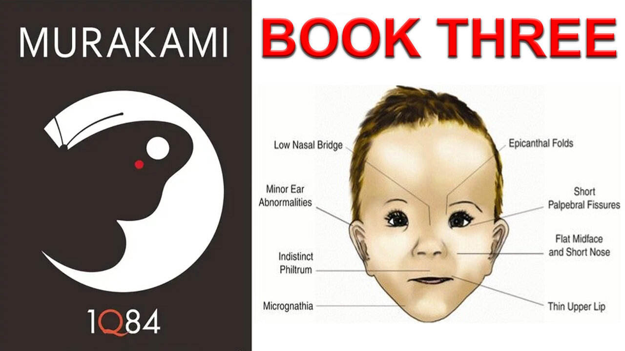 1Q84 (1999) by Haruki Murakami [Book Three]