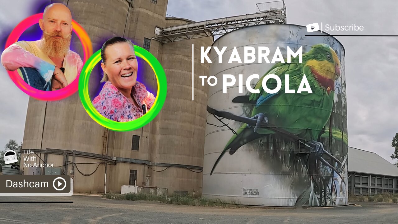 HIDDEN GEM ALERT: Kyabram to Picola Silo Art Trail - Australias Rural Masterpieces 🎨