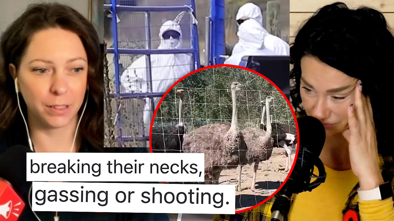 Gruesome cull manual shows feds preferred methods after ostriches reportedly gunned down