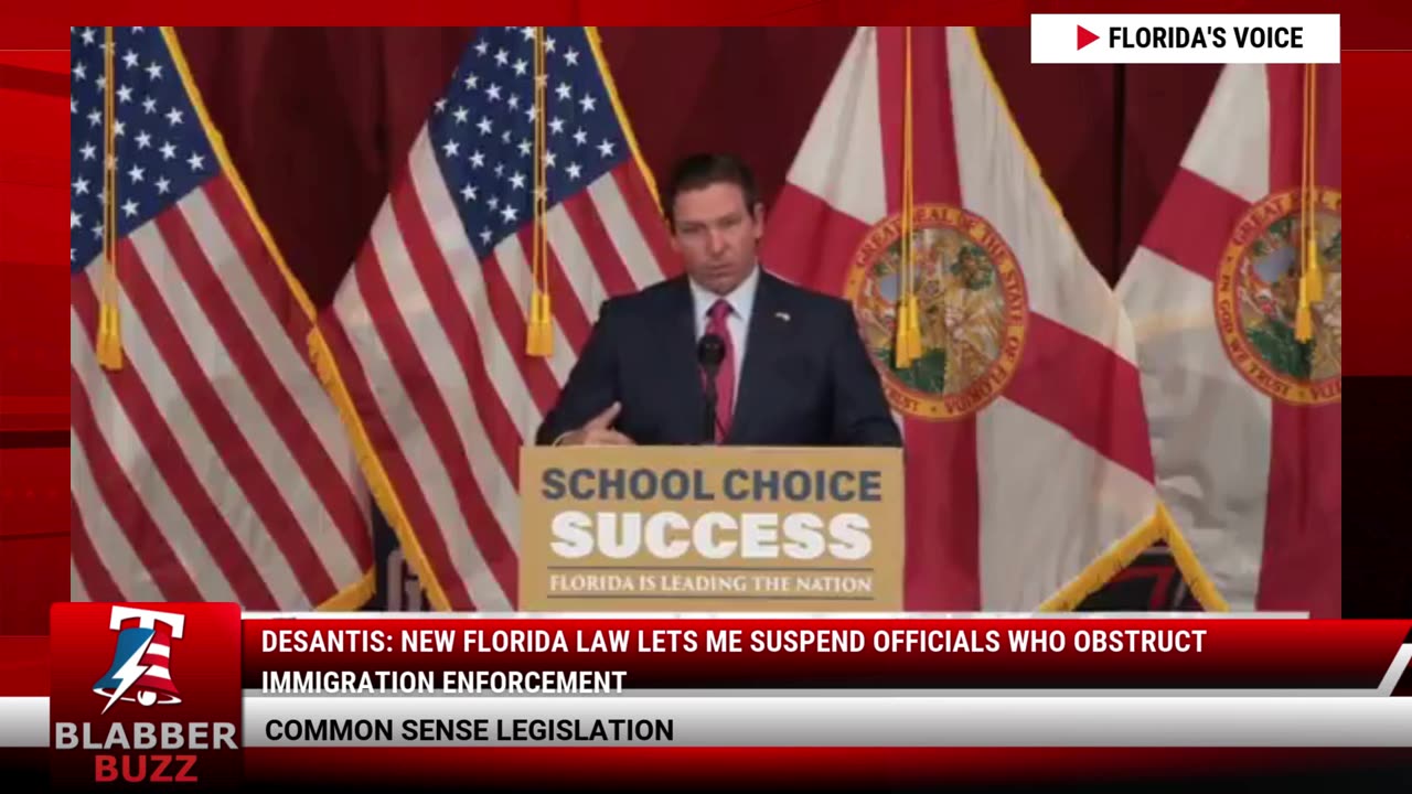 DeSantis: New Florida Law Lets Me Suspend Officials Who Obstruct Immigration Enforcement