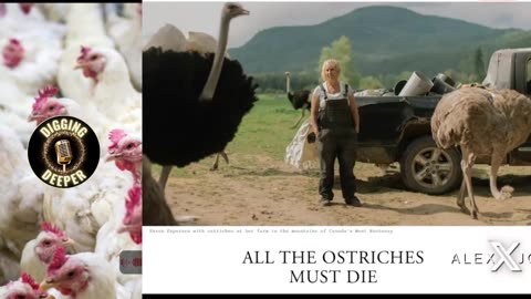 Bird Flu Scare All Over Again